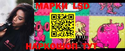 молекула духа Кингисепп