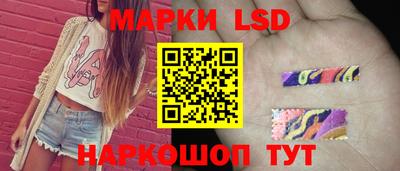 молекула духа Кингисепп