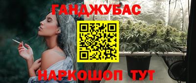 молекула духа Кингисепп