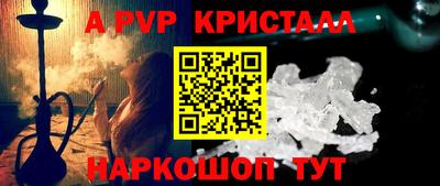 молекула духа Кингисепп