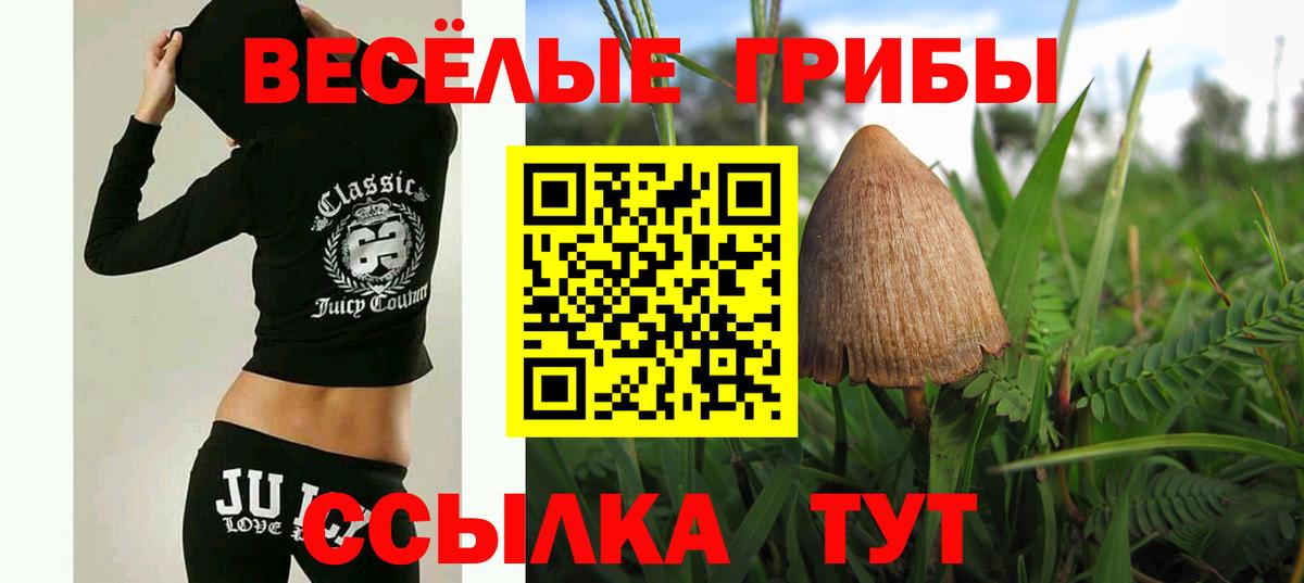 Галлюциногенные грибы Magic Shrooms  купить наркотики цена  Галлюциногенные грибы Psilocybe  Каспийск  Вход с VPN 